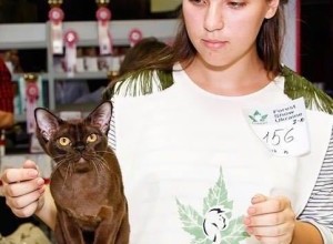 02.09-03.09.2017 Federation International Felin 